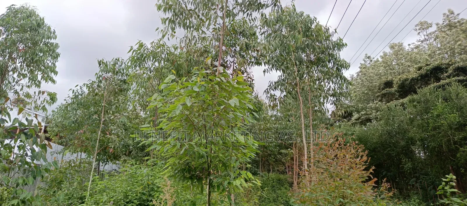 Ngong Matasia, Barabara Mpya Plot for Sale