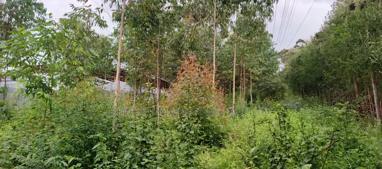 Ngong Matasia, Barabara Mpya Plot for Sale