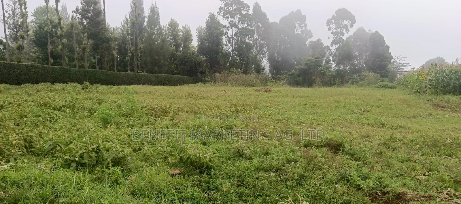 Quarter Acre Plotfor Sale Near Kahara Catholic Church, Ngong