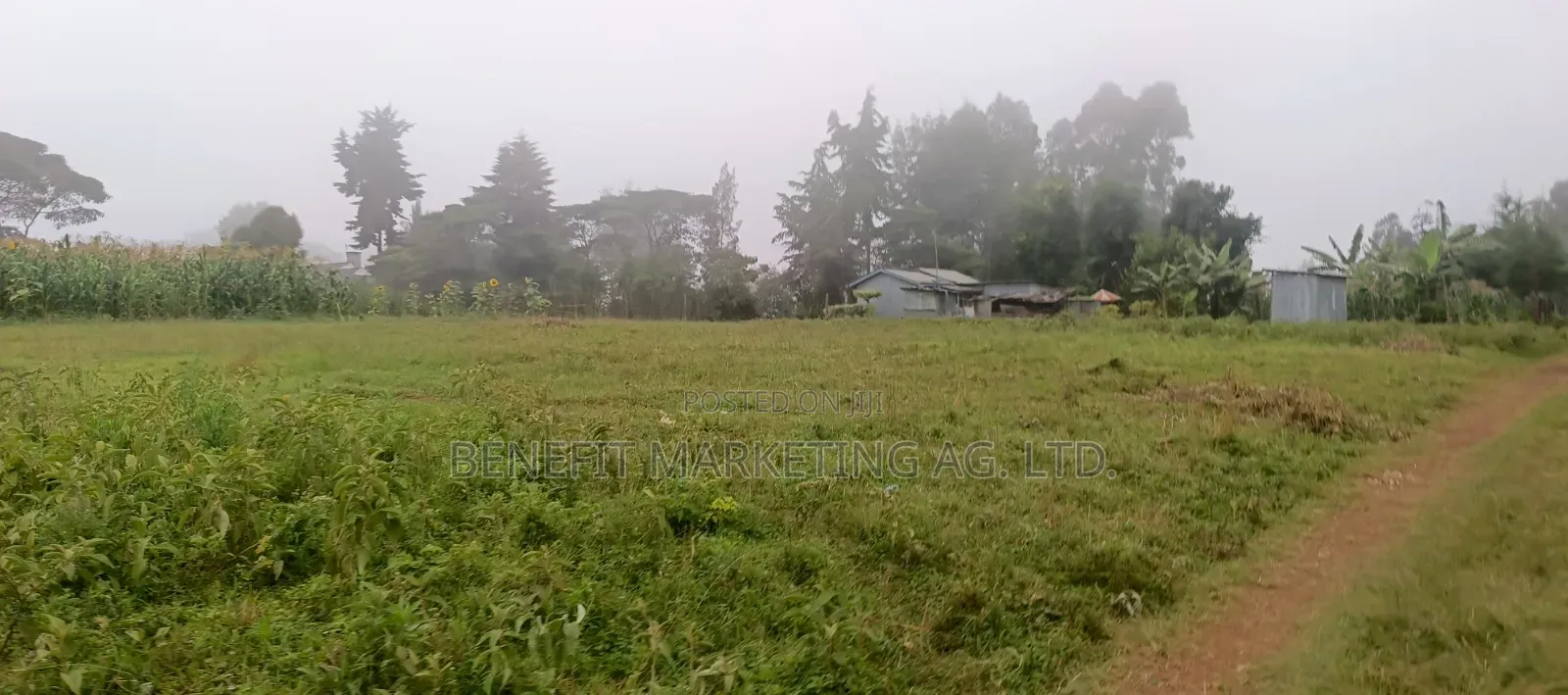 Quarter Acre Plotfor Sale Near Kahara Catholic Church, Ngong