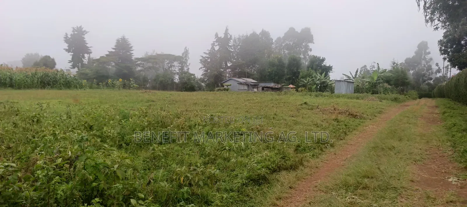 Quarter Acre Plotfor Sale Near Kahara Catholic Church, Ngong
