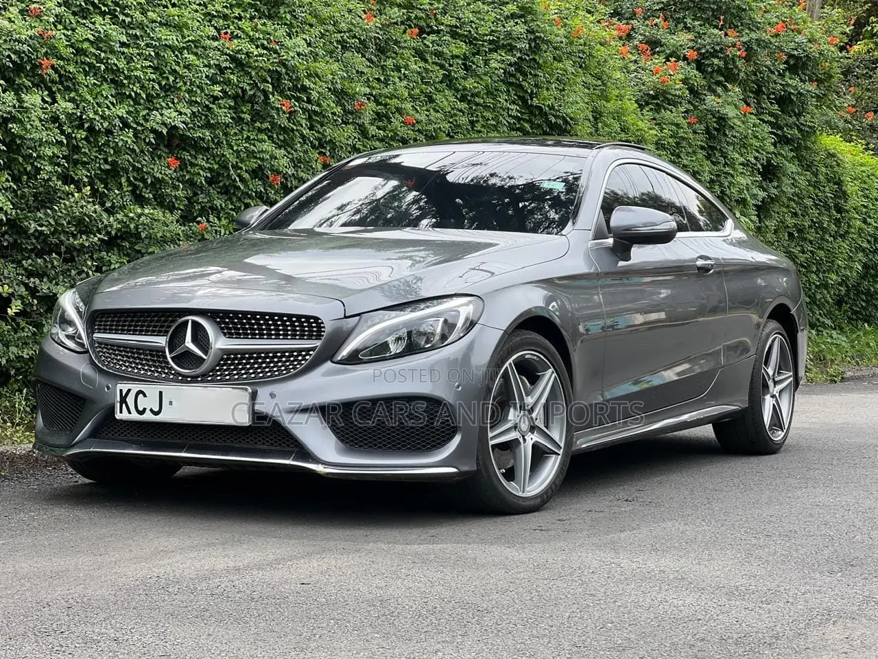 Mercedes-Benz C250 2016 Gray