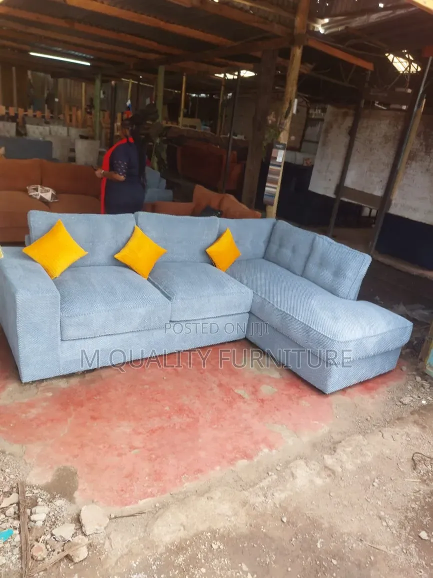 Gray Home Lounge Sofa
