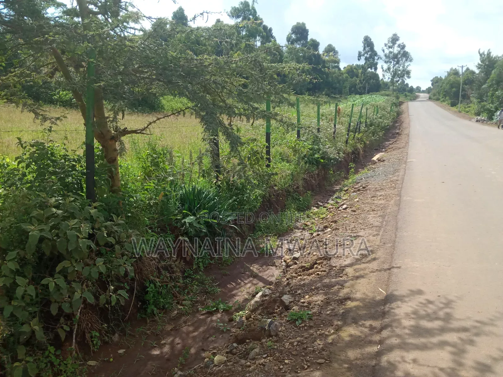 1/2 Acre in Kikuyu, Thigio, Touching Tarmack at 5.5m