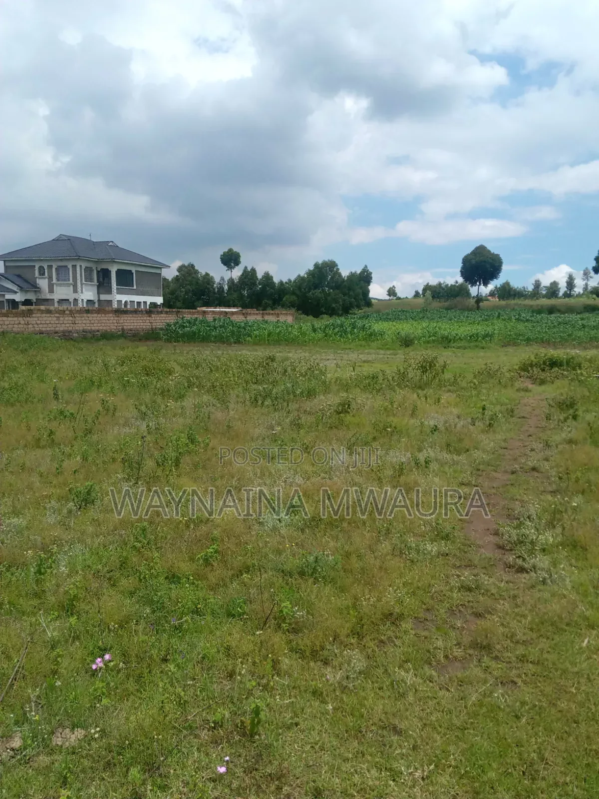 1/2 Acre in Kikuyu, Thigio, Touching Tarmack at 5.5m