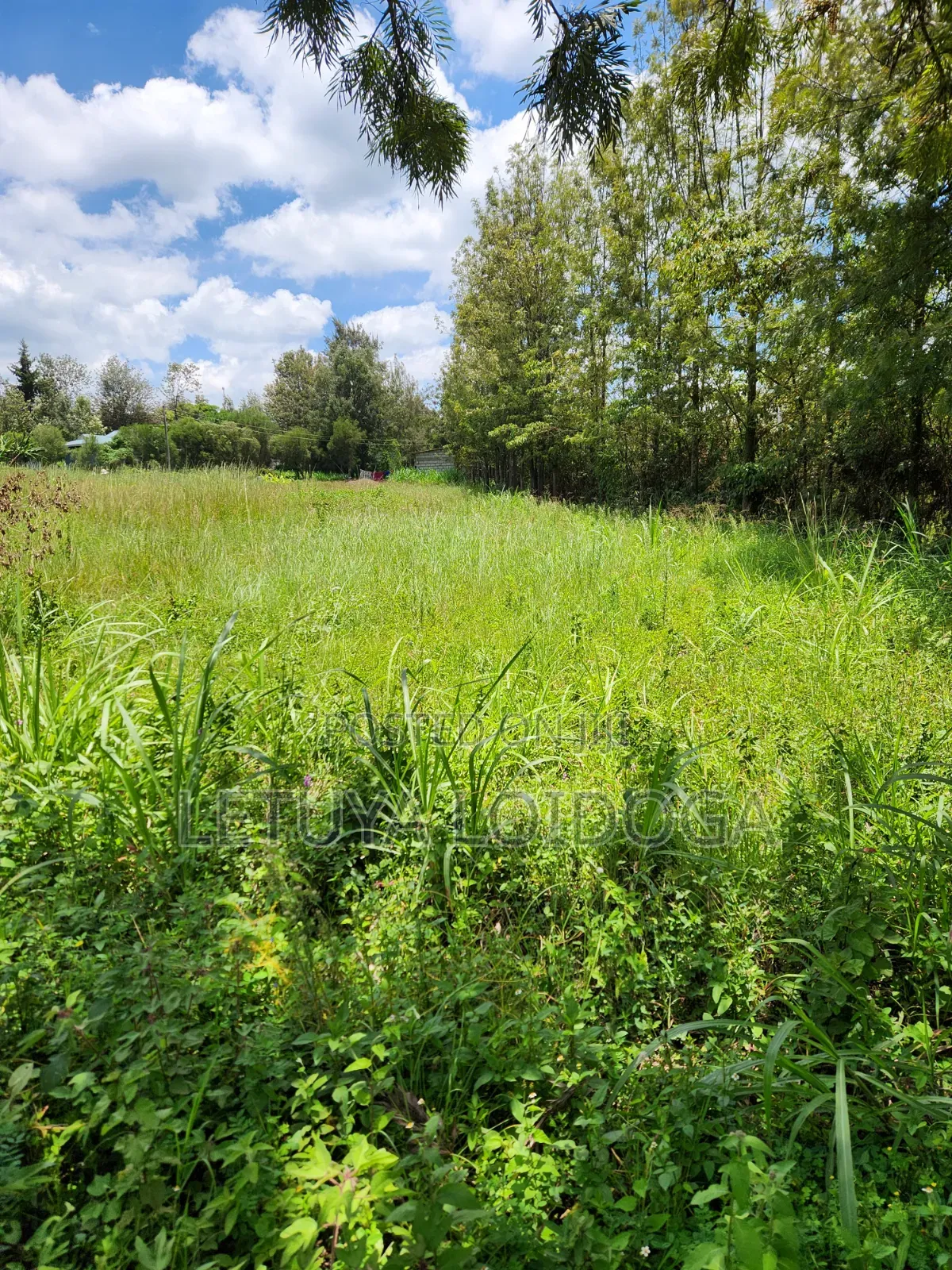 Ngong-Matasia Town 1 and 1⁄4 Acres