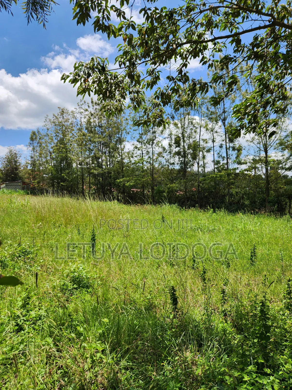 Ngong-Matasia Town 1 and 1⁄4 Acres