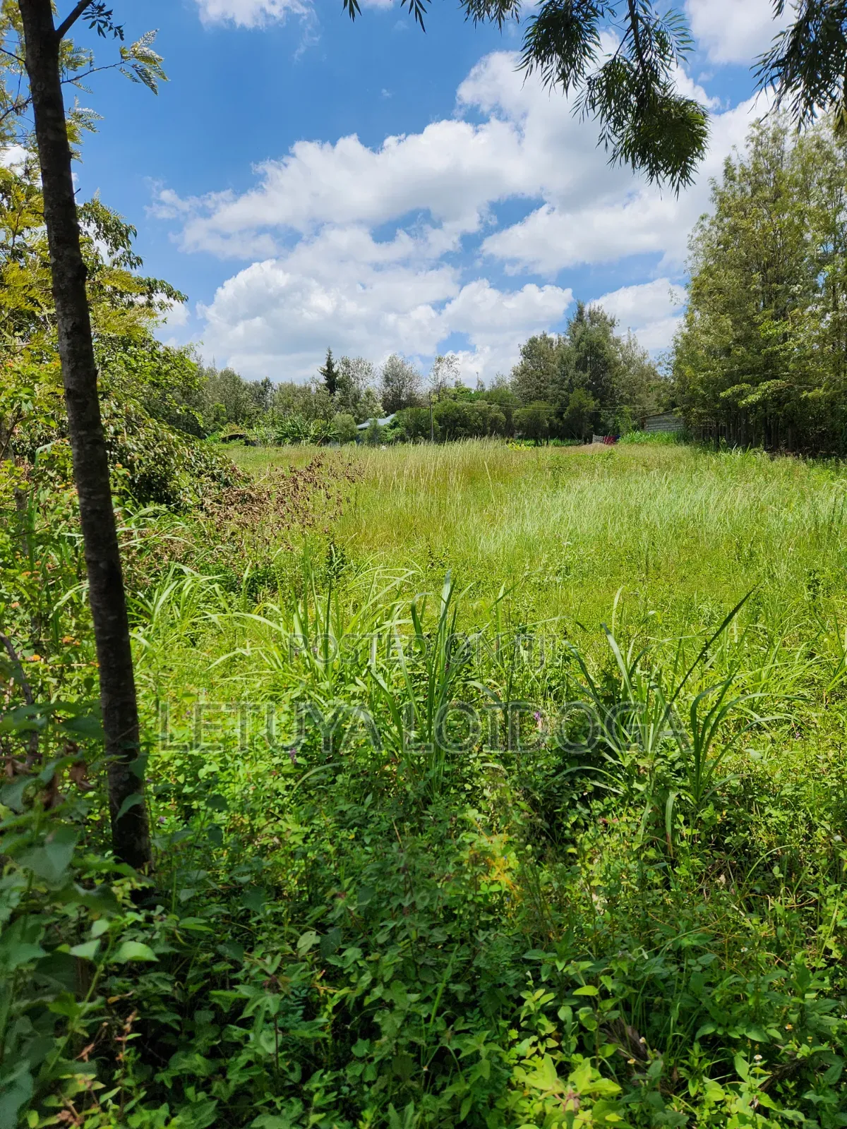 Ngong-Matasia Town 1 and 1⁄4 Acres