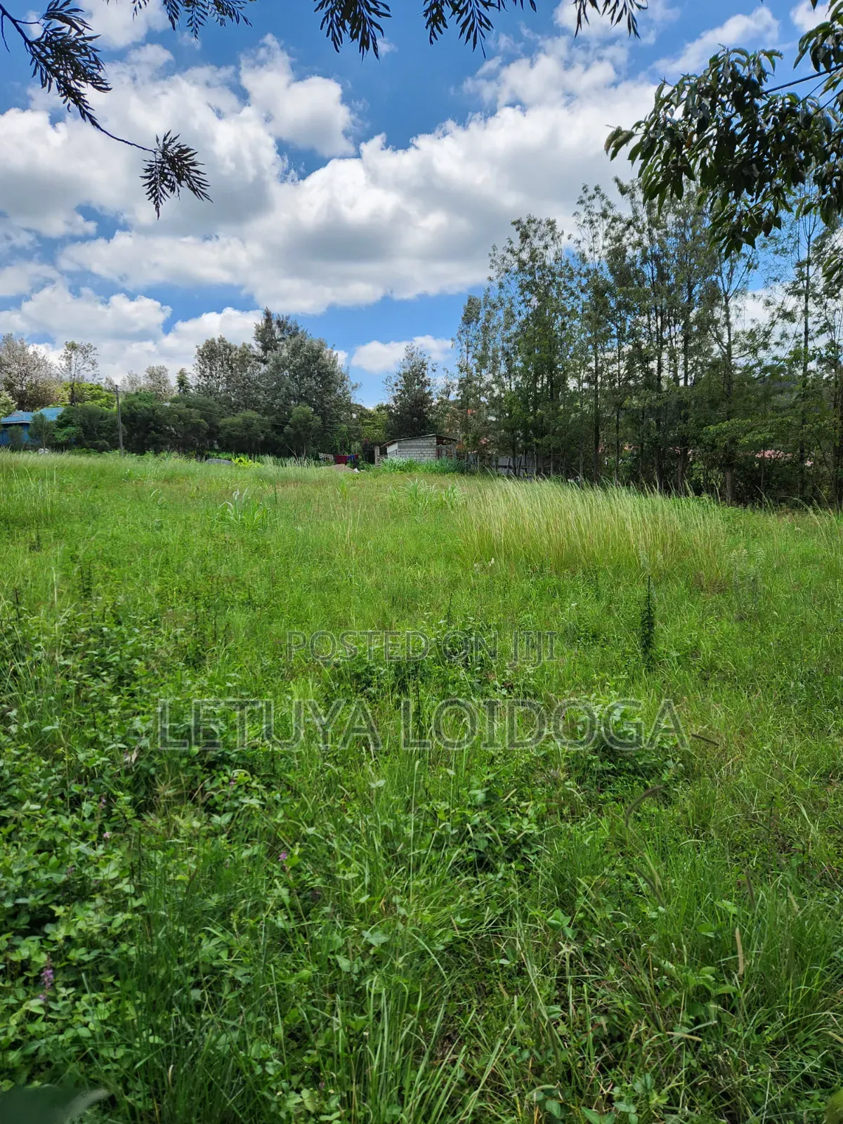 Ngong-Matasia Town 1 and 1⁄4 Acres