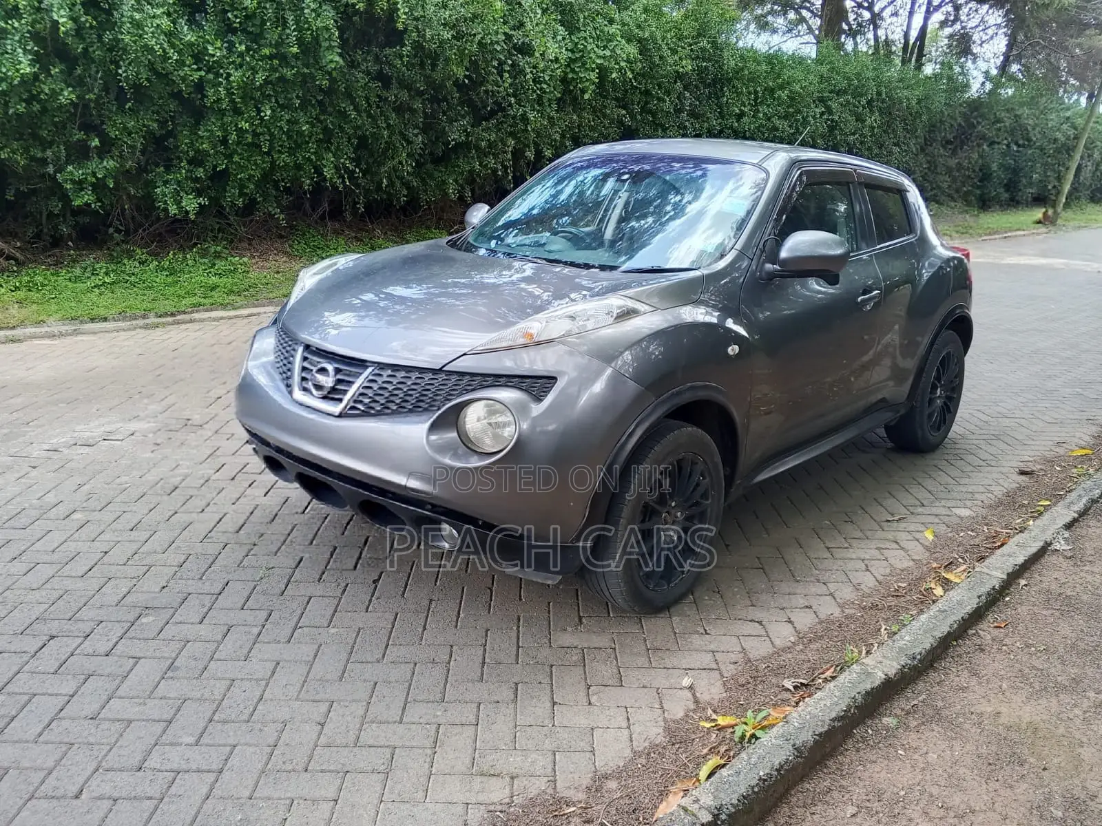 Nissan Juke S 2011 Gray