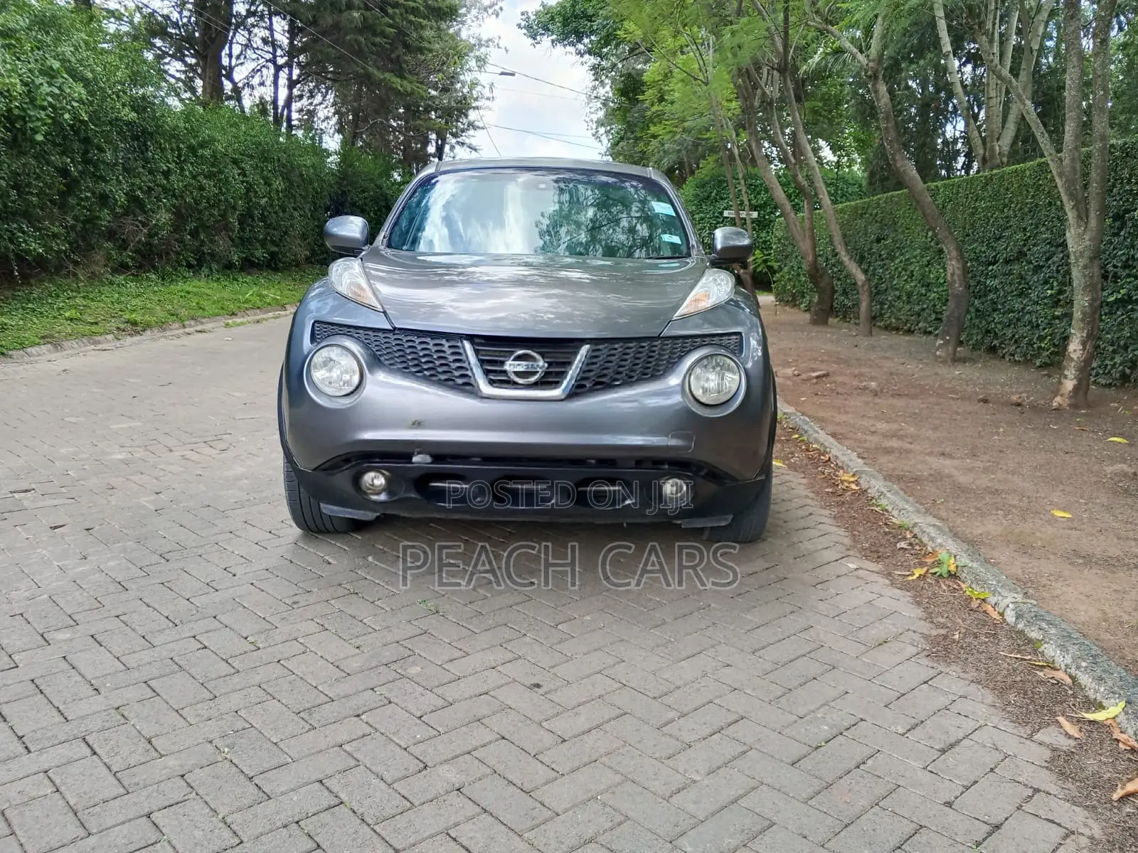 Nissan Juke S 2011 Gray