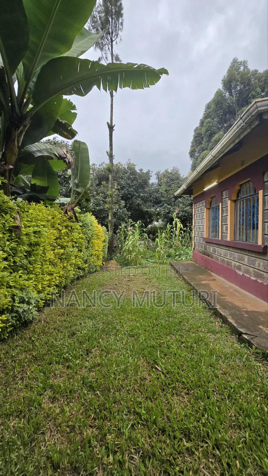3bdrm Bungalow in Kasphat, Banana for rent