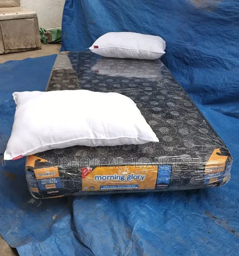 Morning Glory 3x6 Quilted Mattress 6-Inch With 2 Pillows
