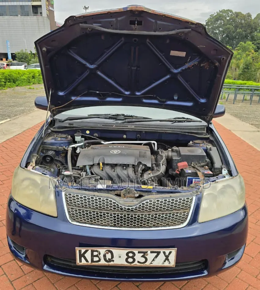 Toyota Corolla Fielder 2006 Blue