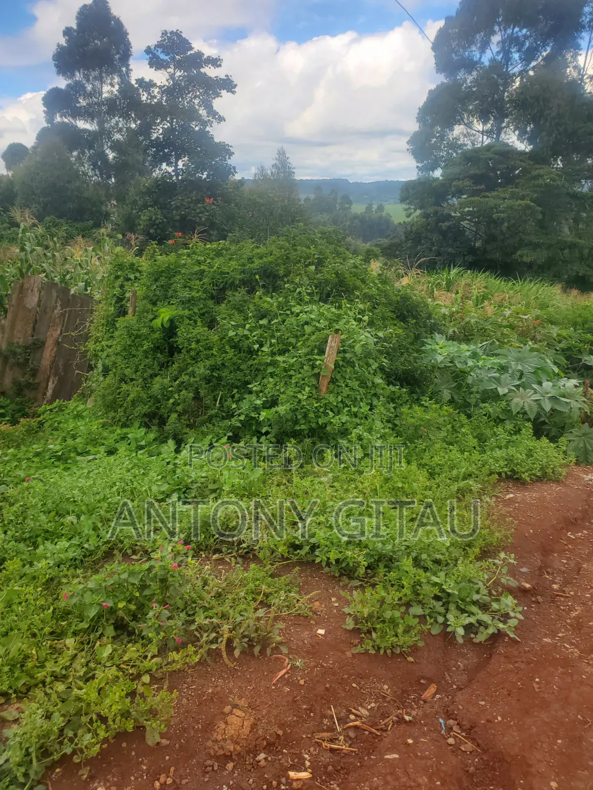Gikambura 0.27 Acres Touching The Tarmac