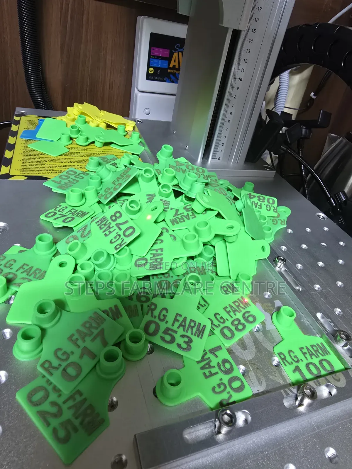 Goats Branded Ear Tags