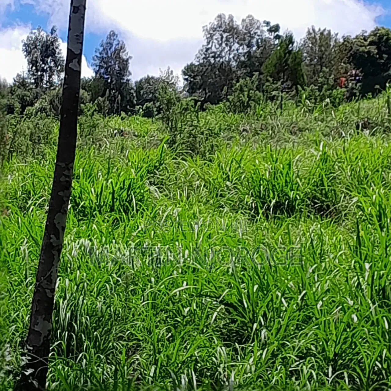30 Acres Nyamamithi, Lower Subukia