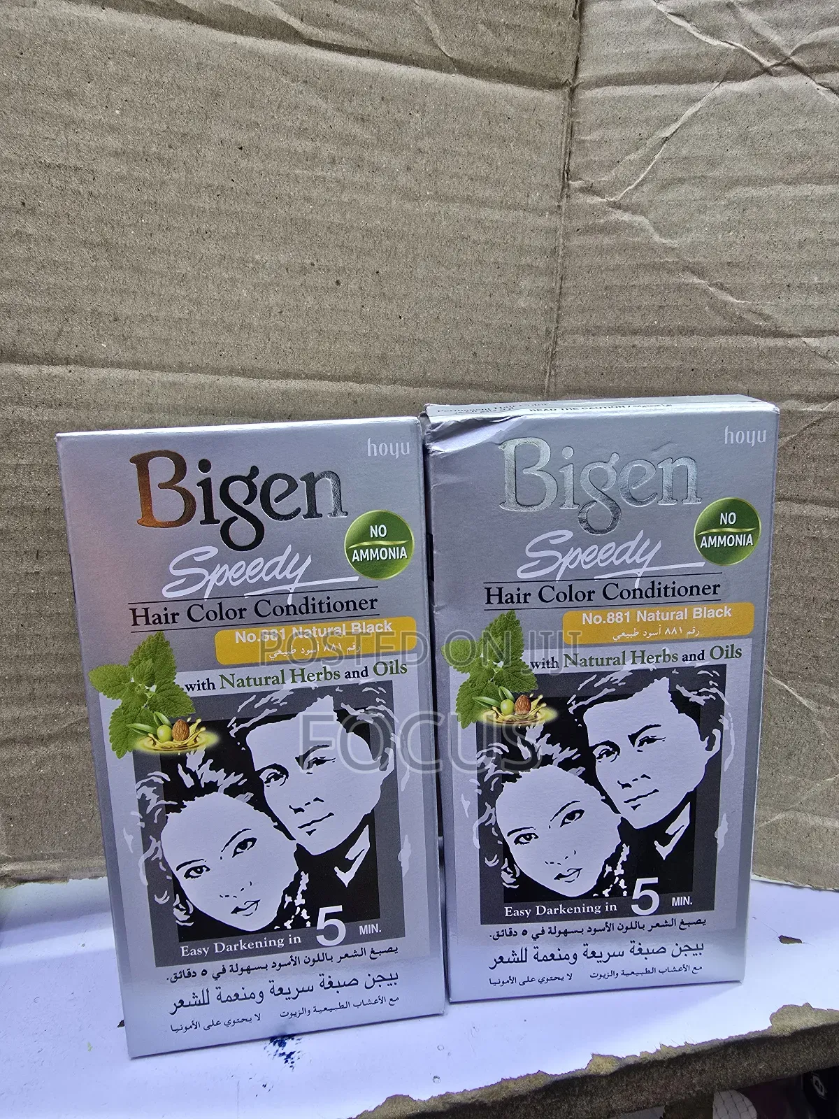 Bigen Hair Colour 881