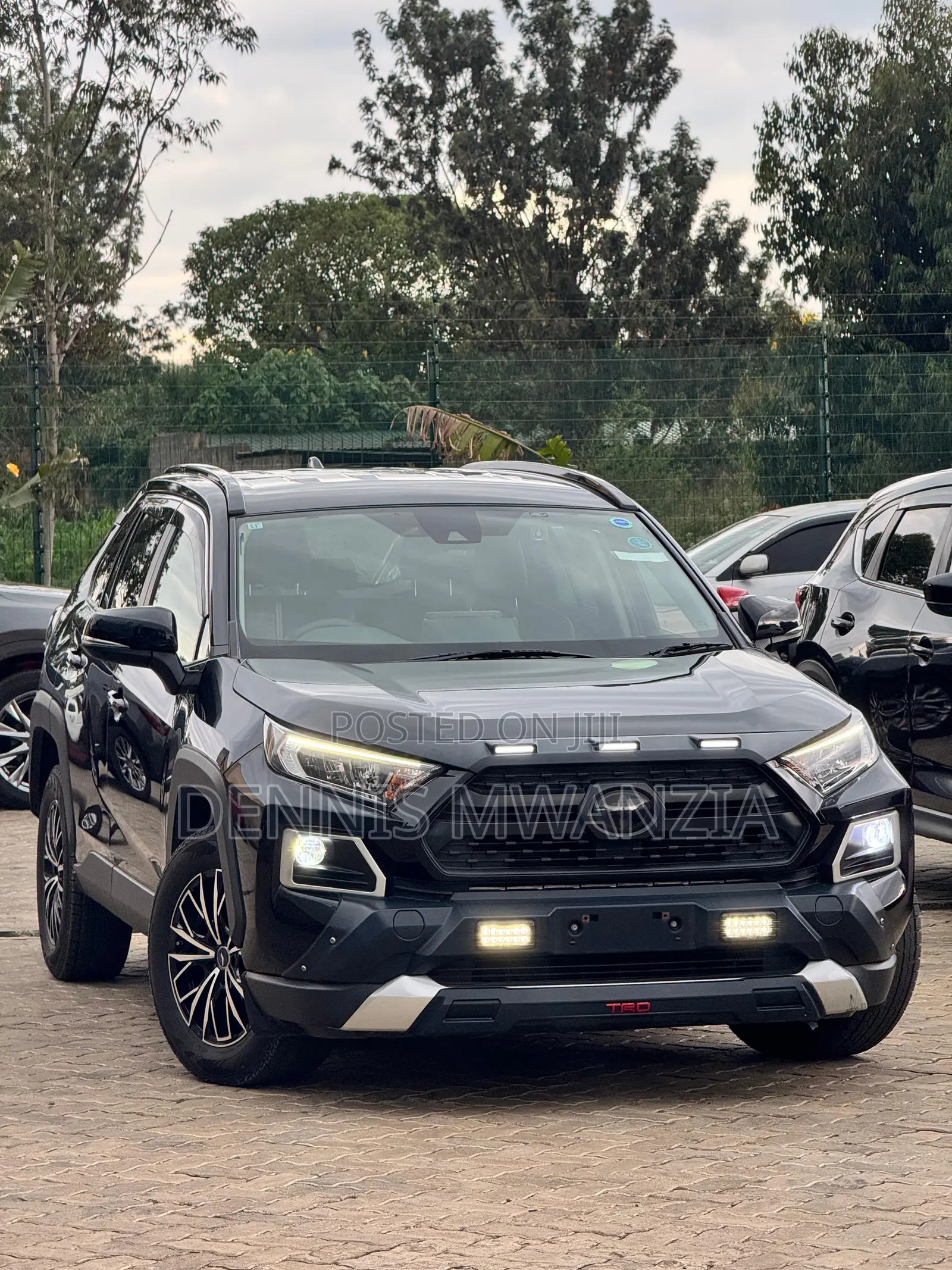 Toyota RAV4 Adventure 2019 Gray
