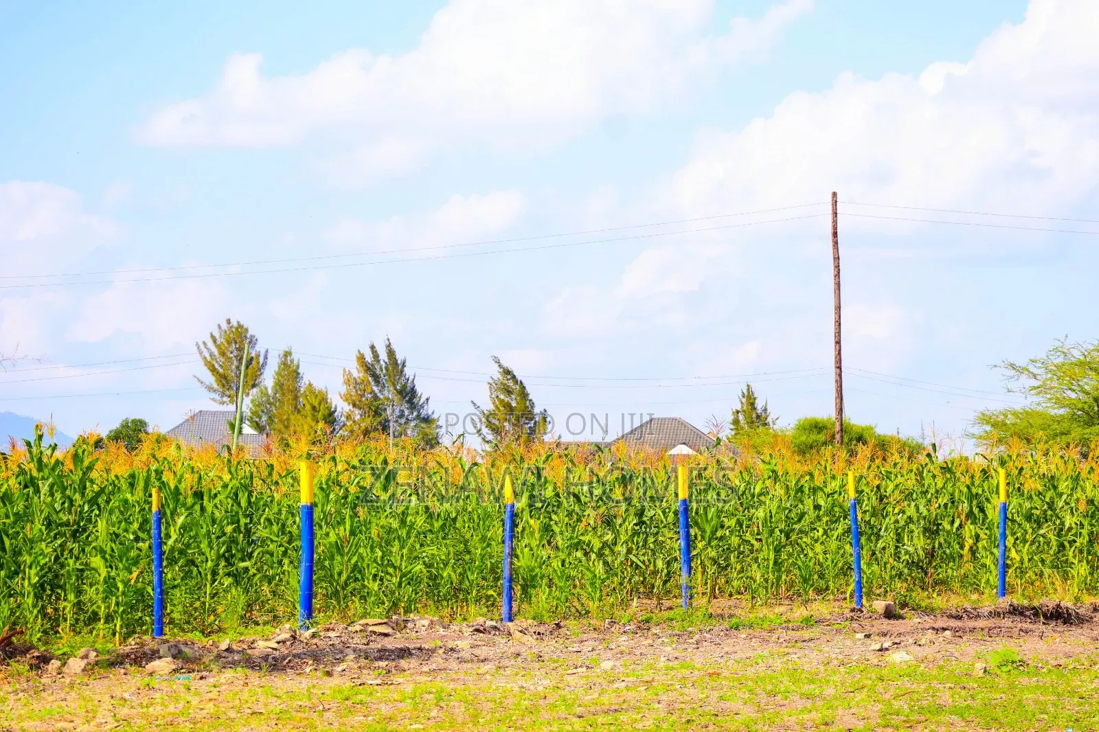 Joska-Mutalia Residential Plots Fj