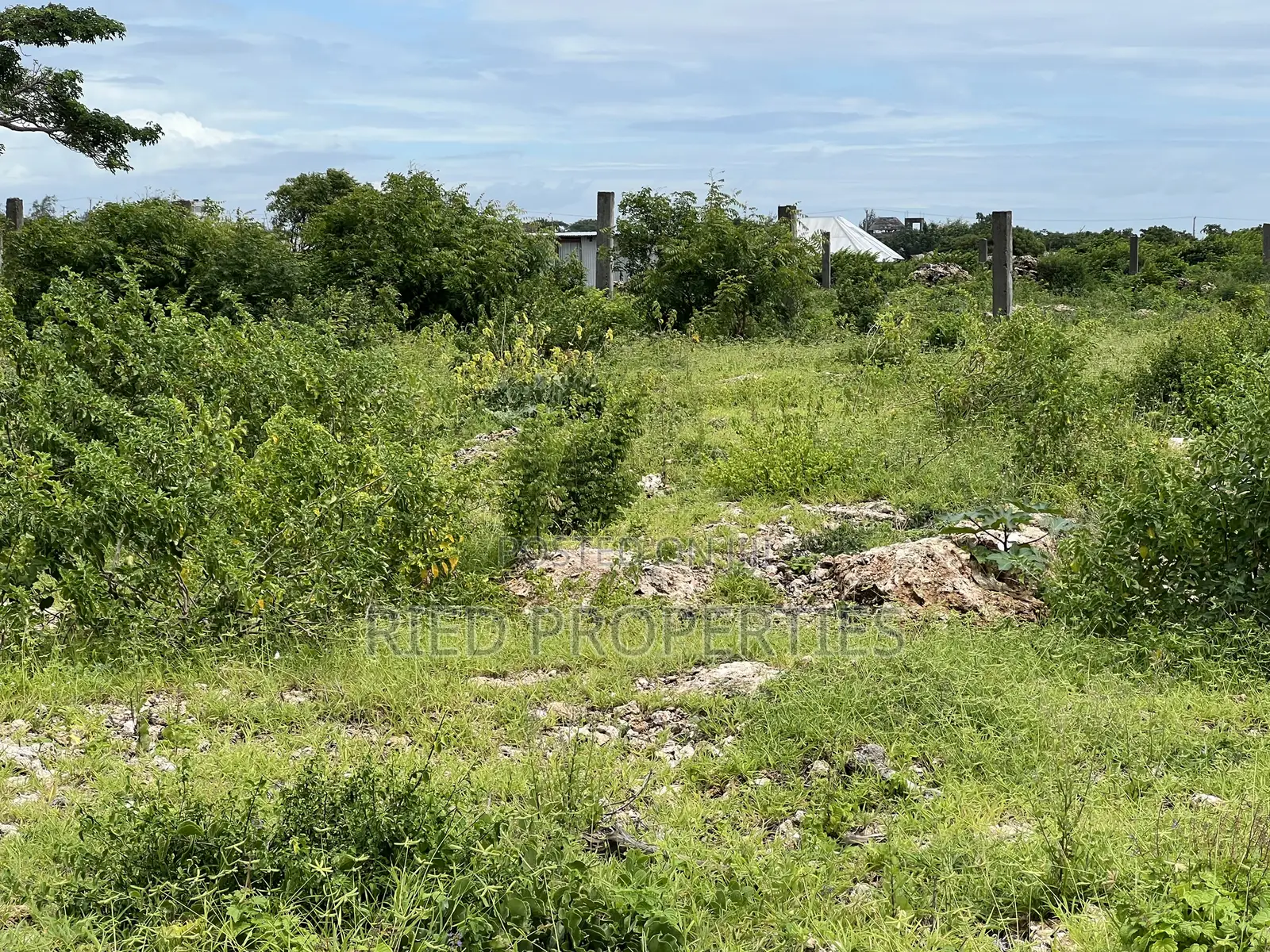 1 Acre Beachplot in Malindi Kilifi for Sale