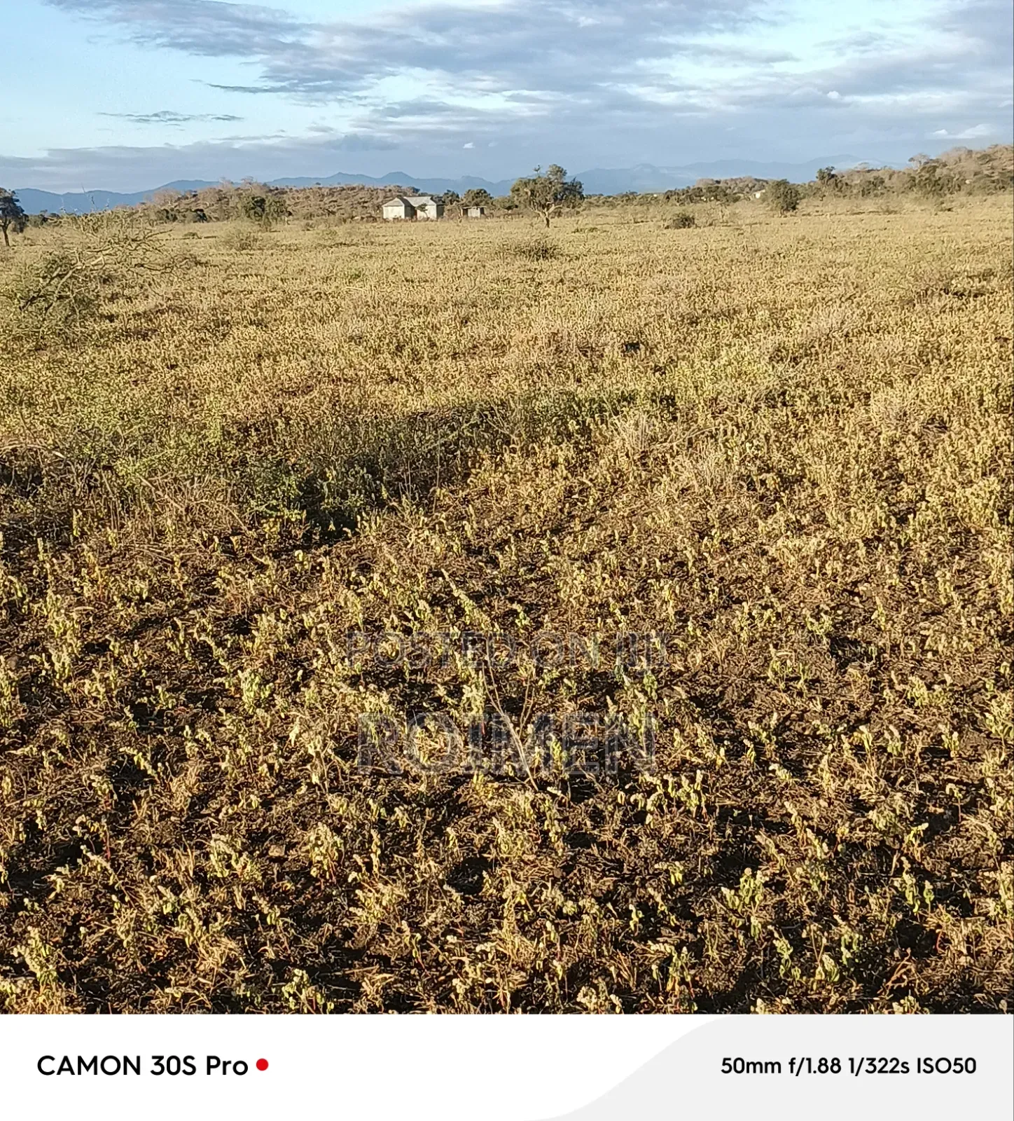 Commercial Land