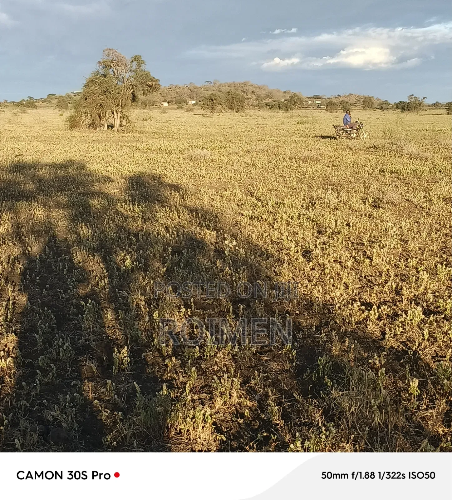 Commercial Land