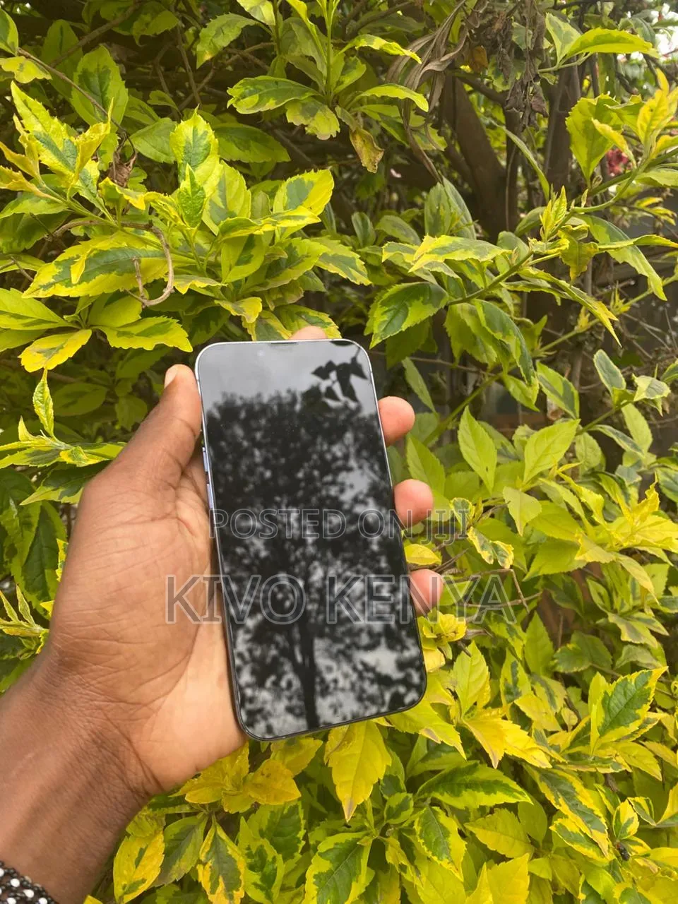 Apple iPhone 13 Pro Max 256 GB Blue