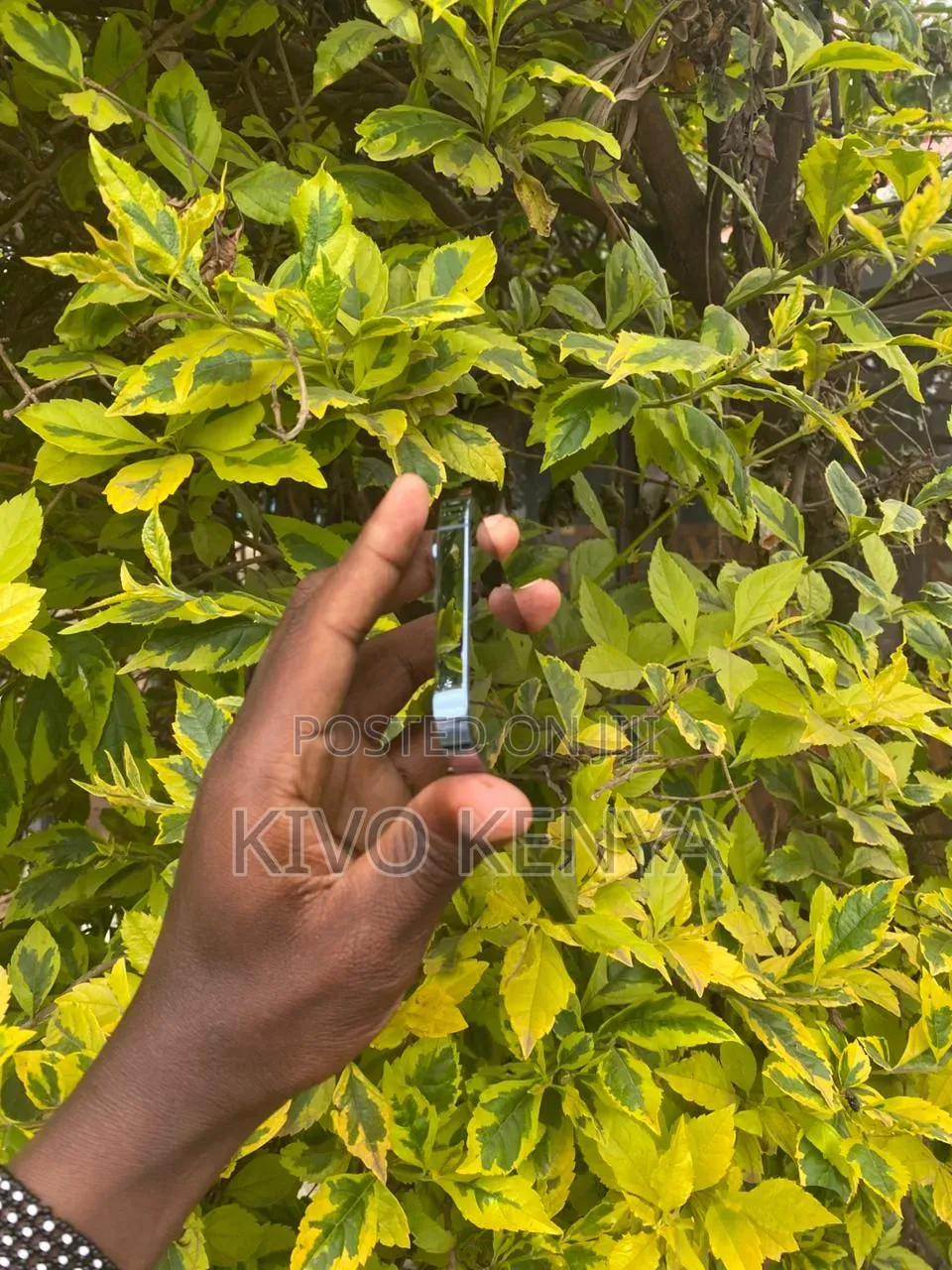 Apple iPhone 13 Pro Max 256 GB Blue