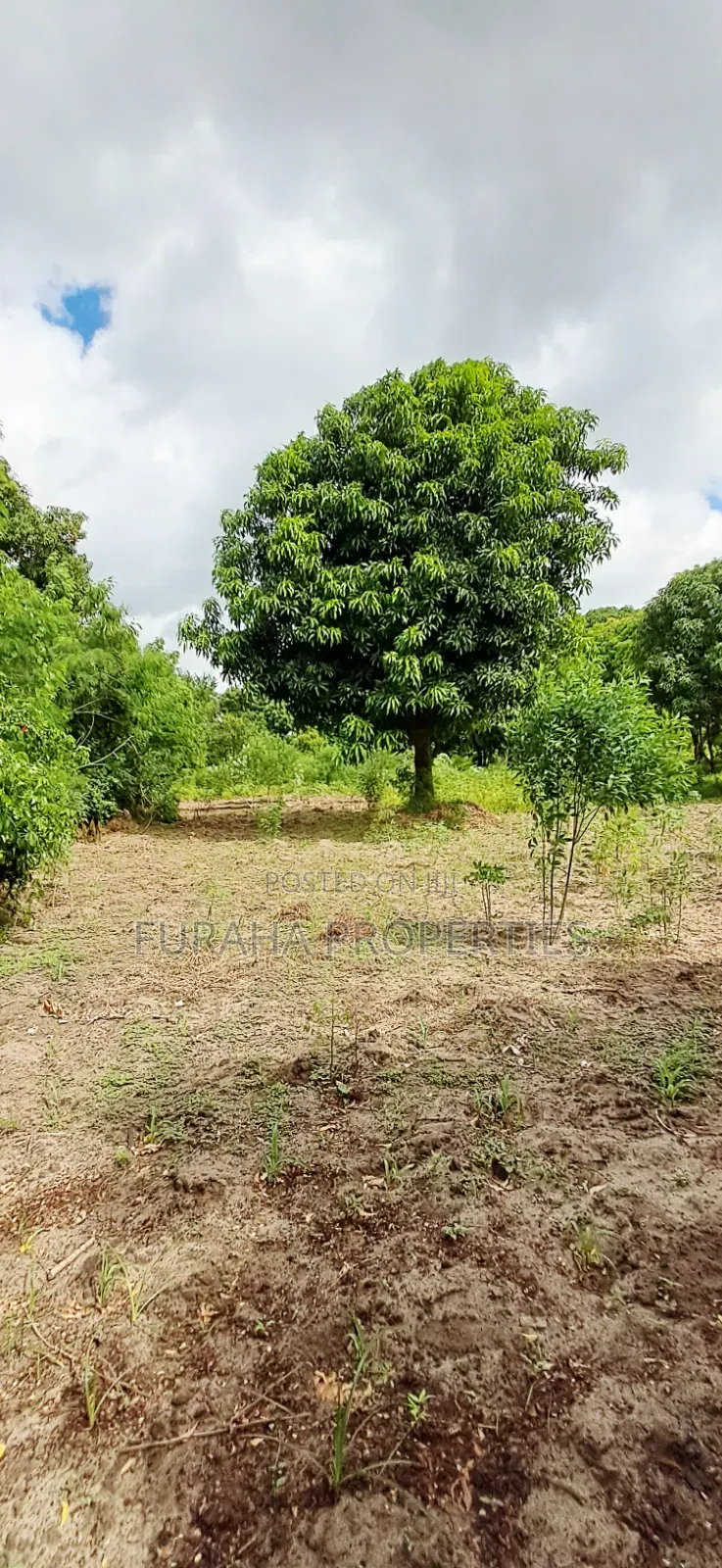 For Sale 6 Acres Prime Plot Mtwapa