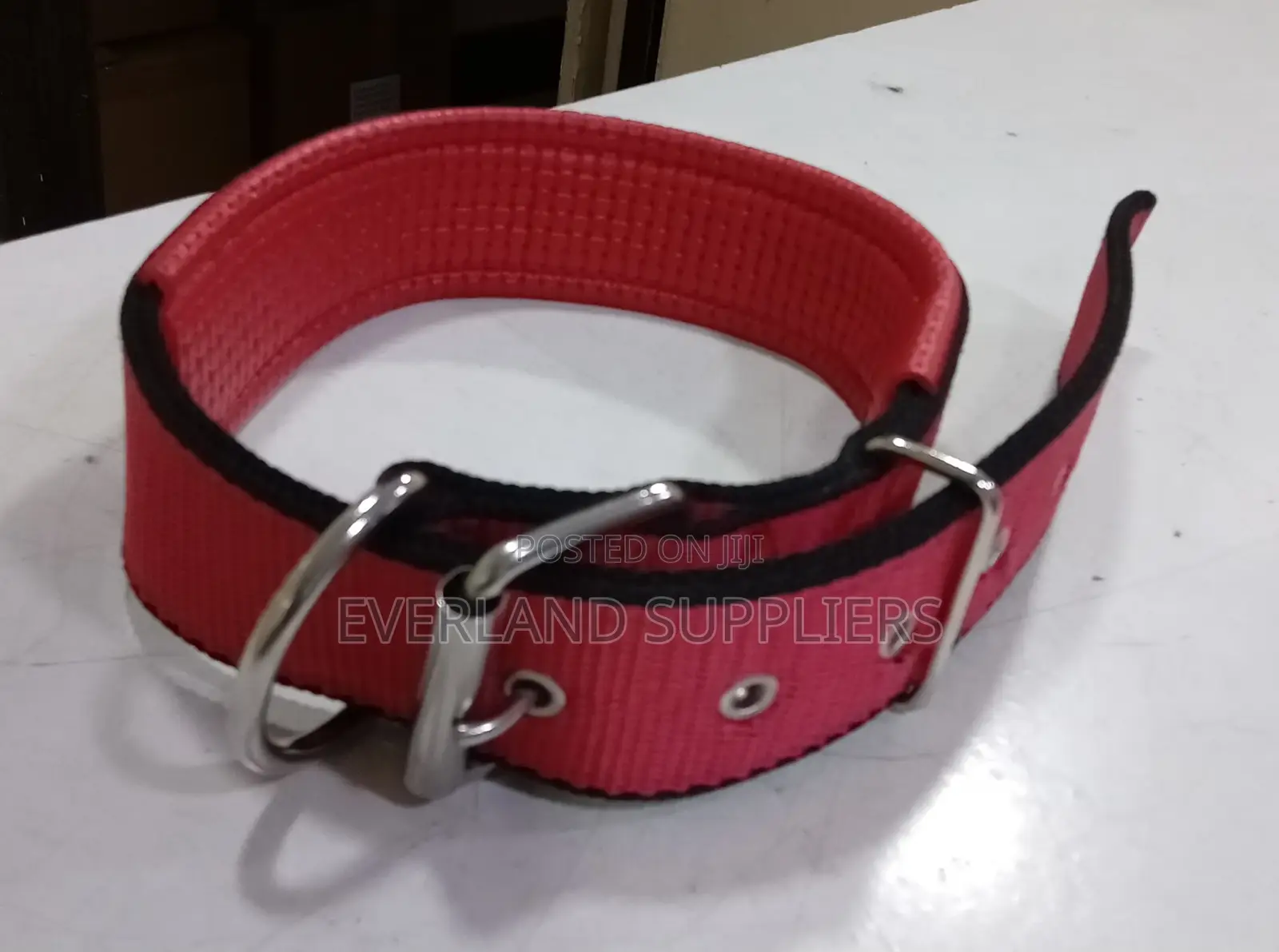 Medium Dogs Collars