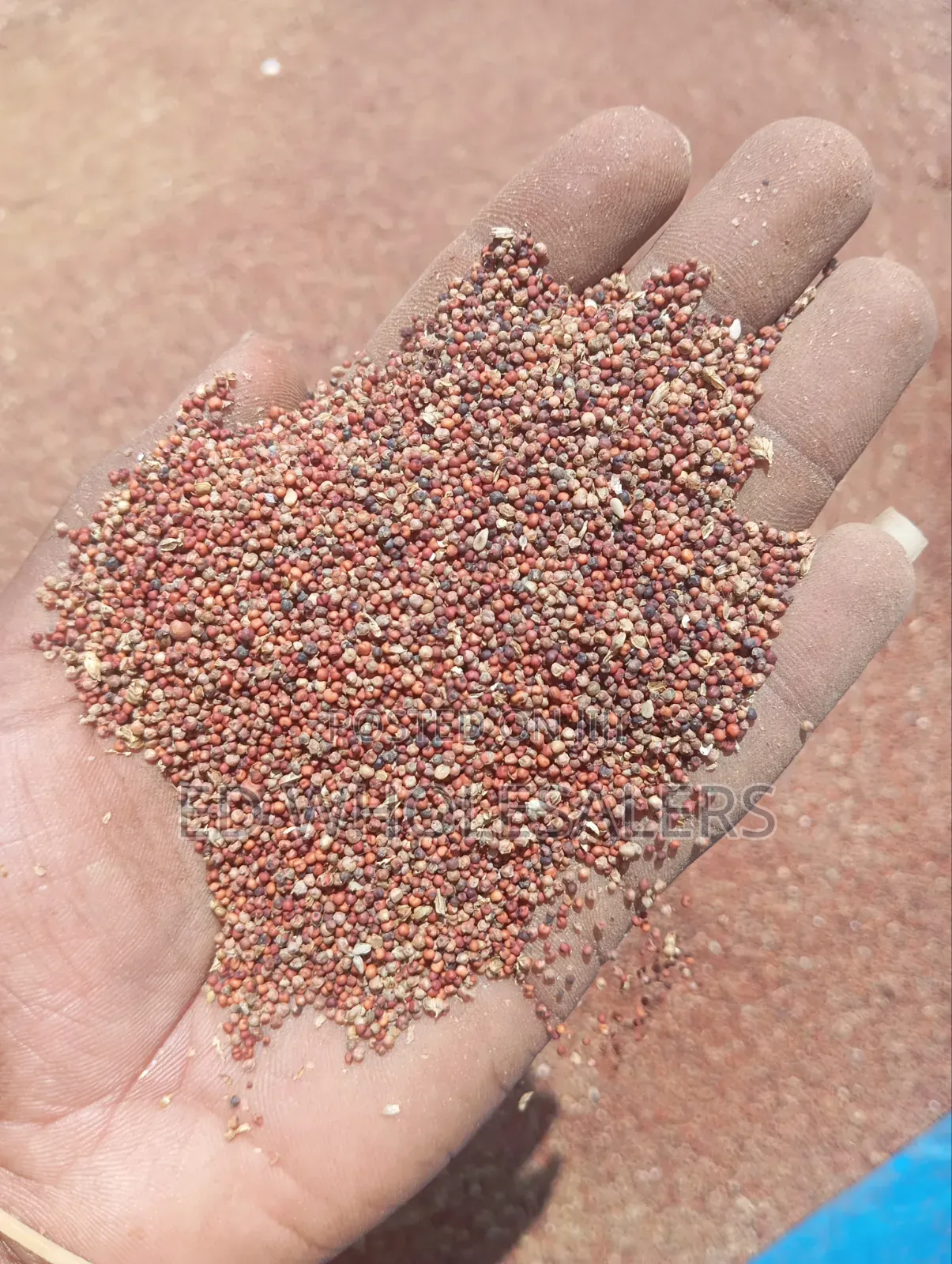 High-Quality Finger Millet (Wimbi) for Sale