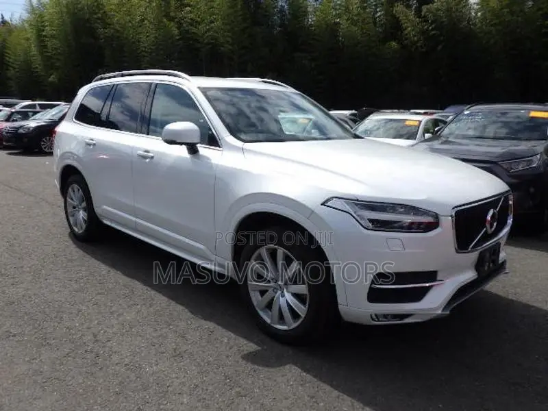 Volvo XC90 2019 Pearl