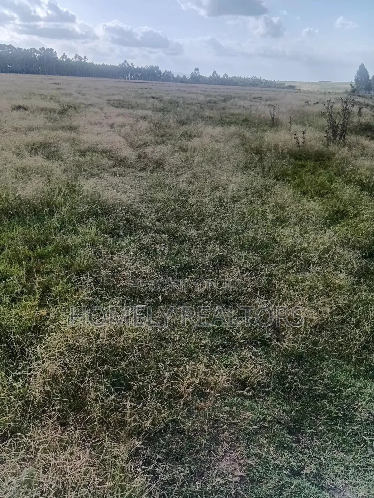 17 Acres of Land for Sale in Kipeto Area 3km Off Kiserian-Isinya Rd