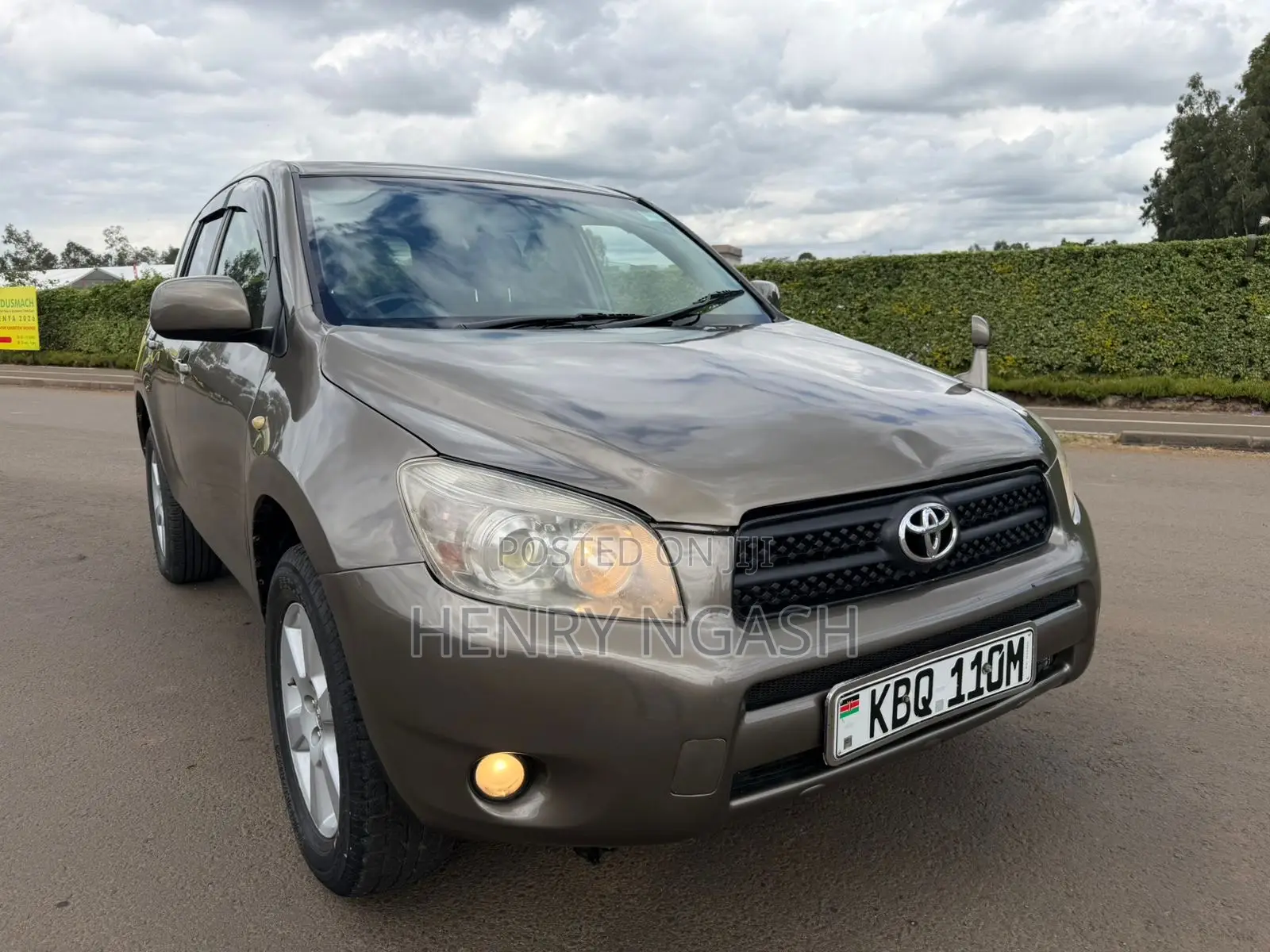 Toyota RAV4 2008 Brown