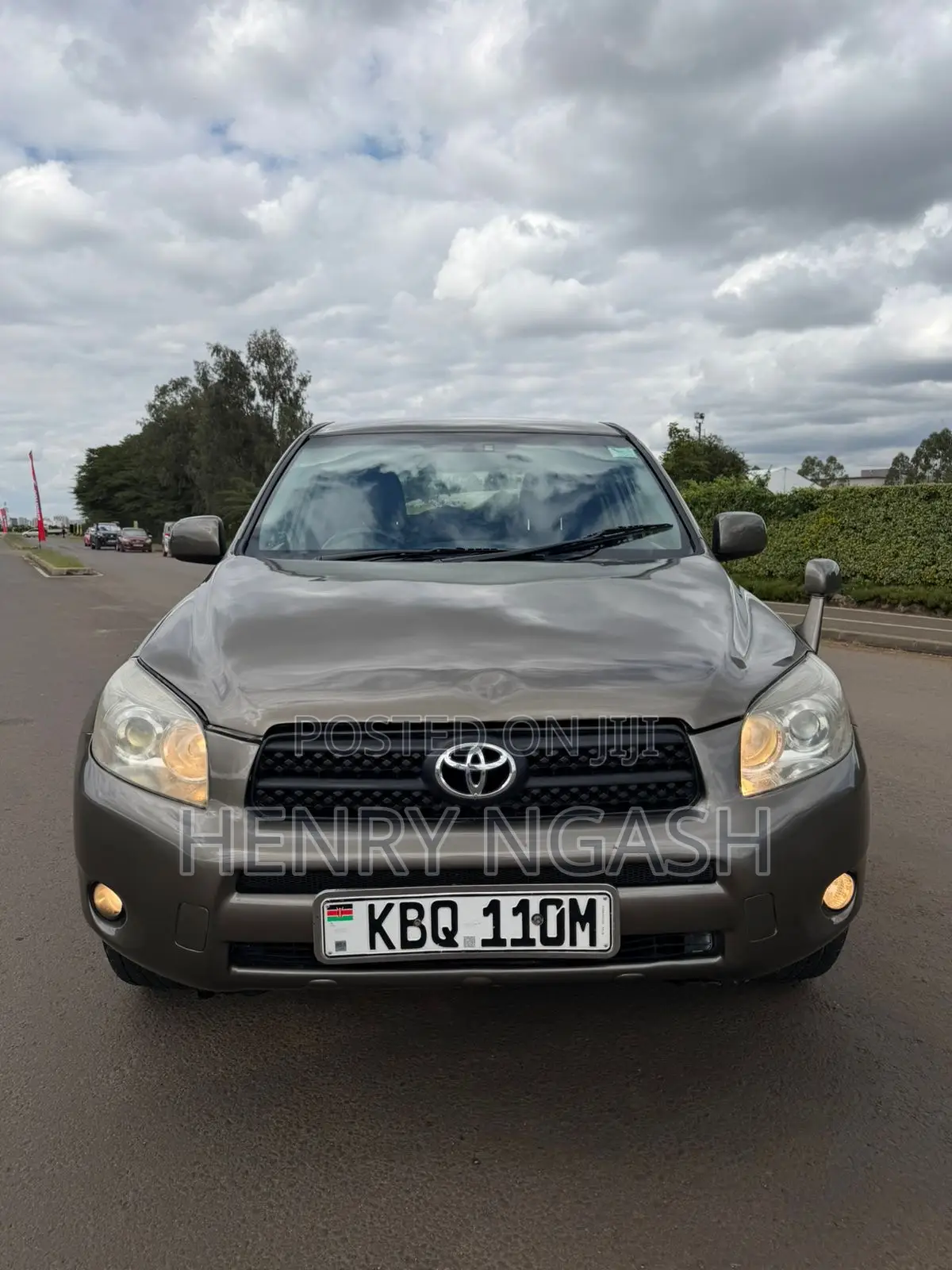 Toyota RAV4 2008 Brown