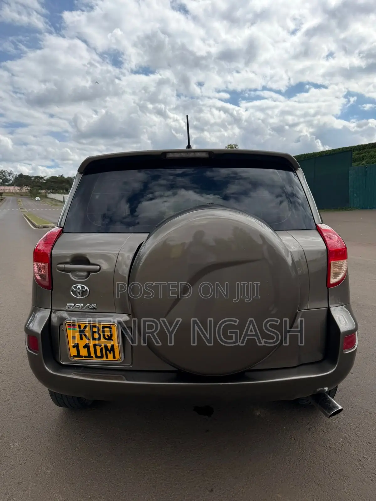 Toyota RAV4 2008 Brown