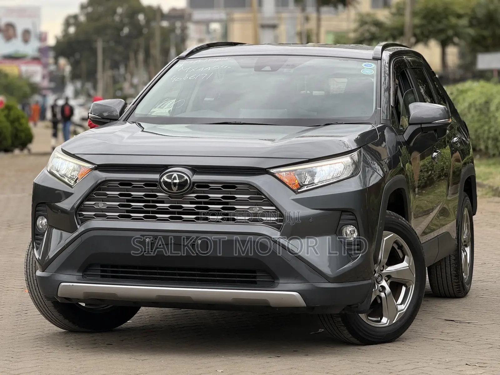 Toyota RAV4 Limited AWD 2019 Gray