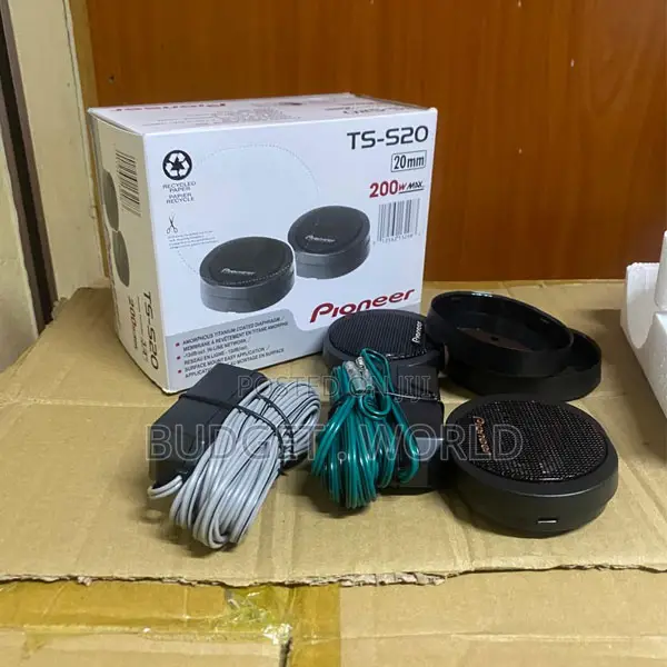 Pioneer Ts-S20 High Output Super Tweeter – Premium Car Audio Accessory