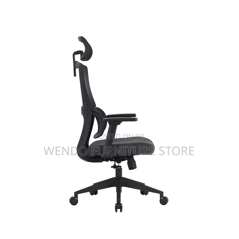 Office Chairs; High Back Orthopedic Office Works Chairs