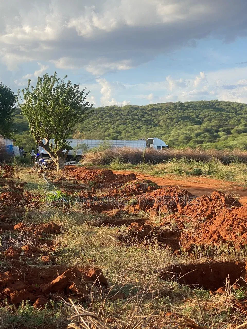 50 Acres in Embu Ishiara for Sale as a Block Currently Under Farming