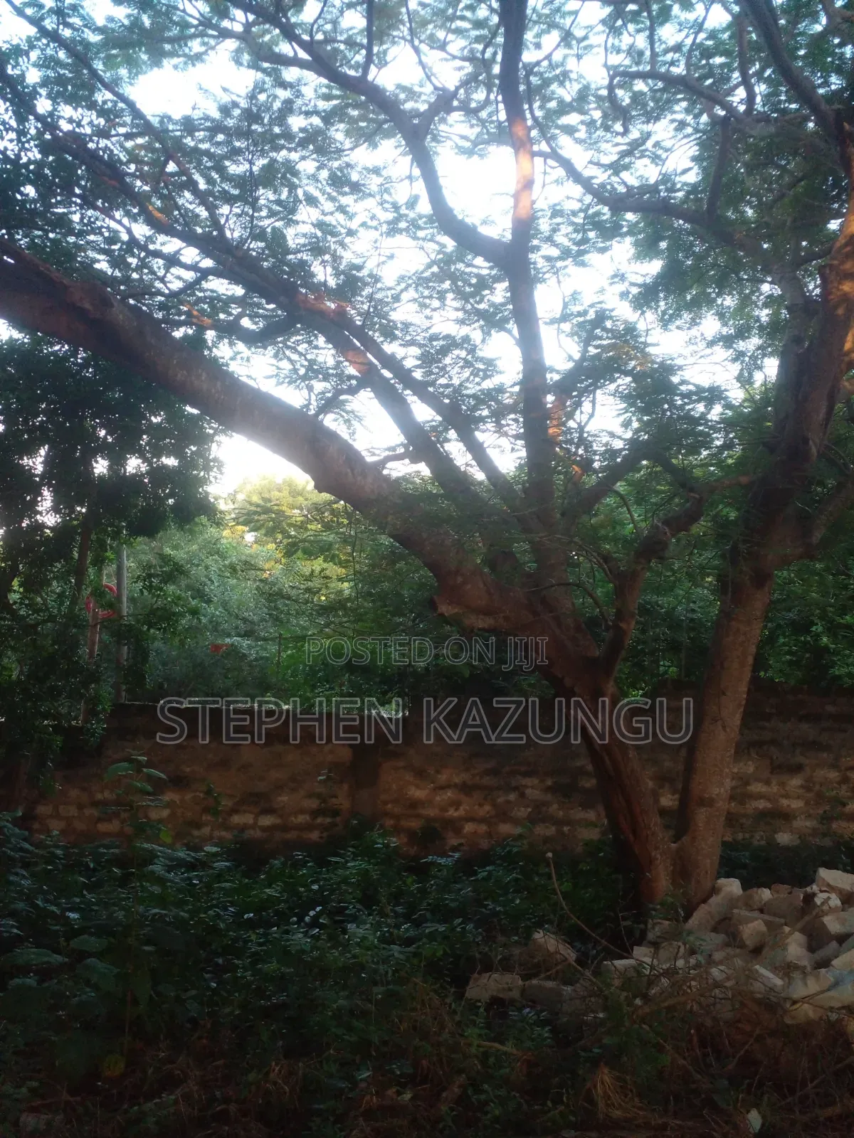 Diani Beach 1/4 Acre Plot Only 150 Metres From the Beach on 2nd Row