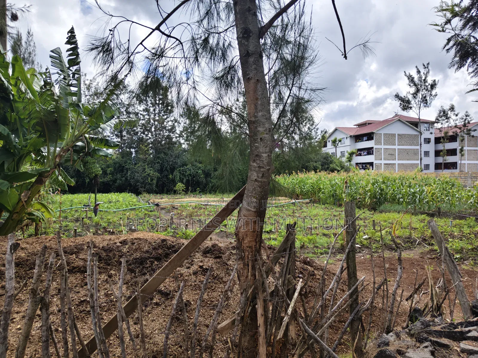 1/4 Acre Plot for Sale in Matasia, Ngong.