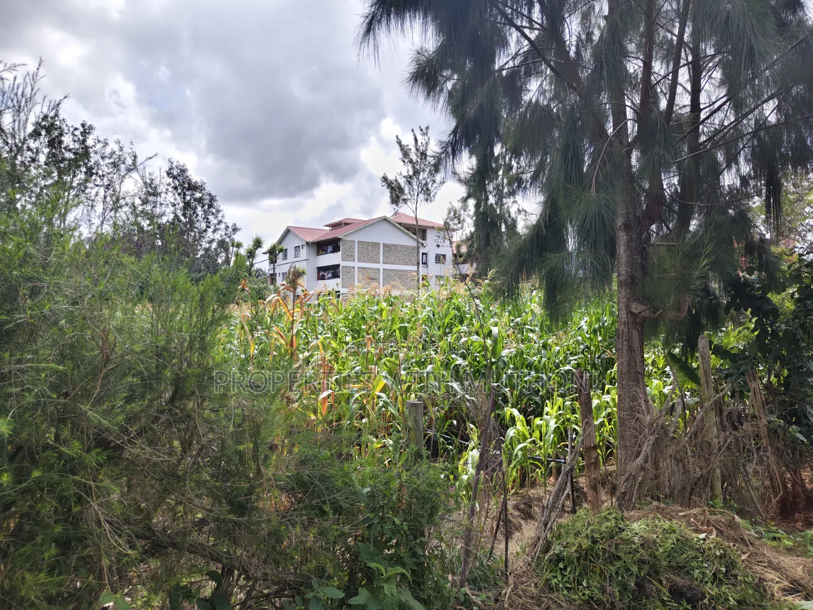 1/4 Acre Plot for Sale in Matasia, Ngong.