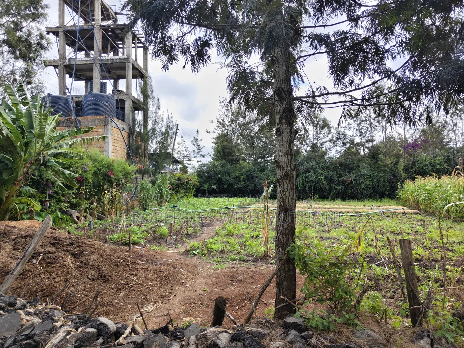 1/4 Acre Plot for Sale in Matasia, Ngong.