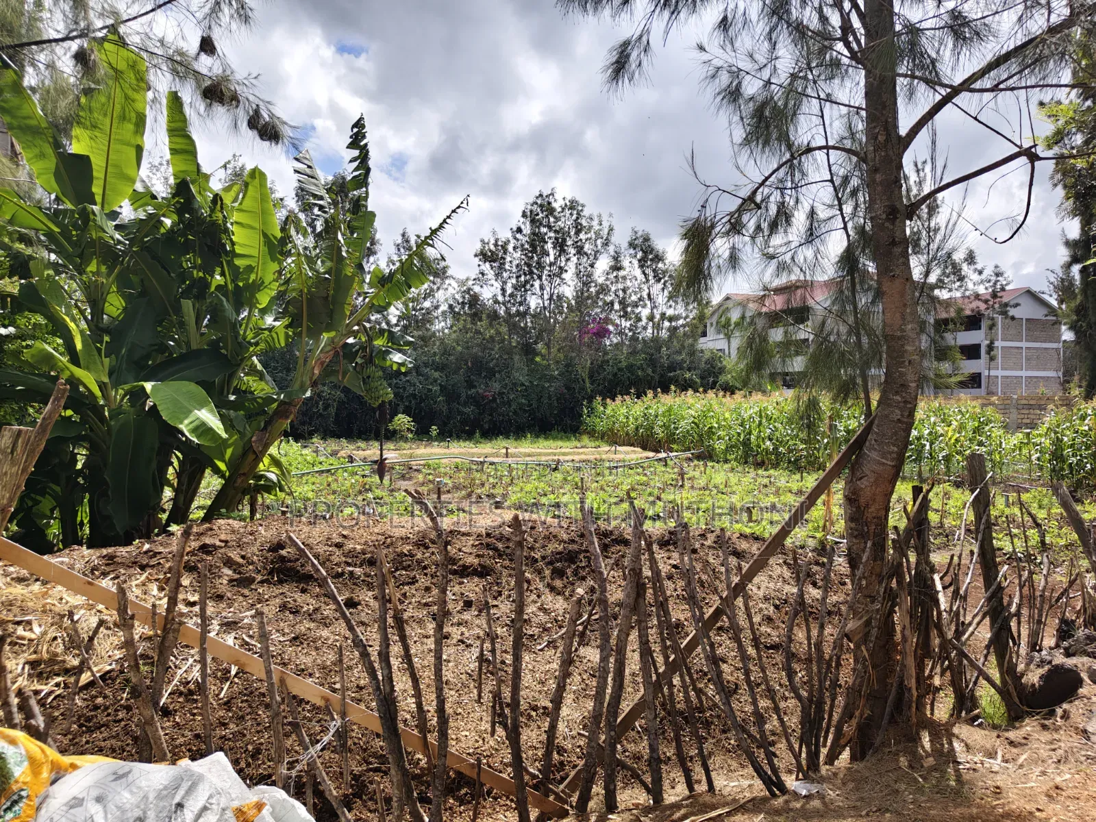 1/4 Acre Plot for Sale in Matasia, Ngong.