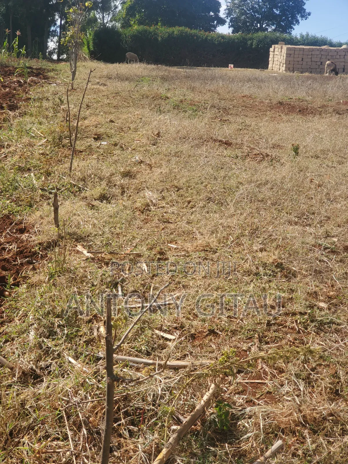1/8 Plot at Mai Ahii 2km to Kikuyu Town