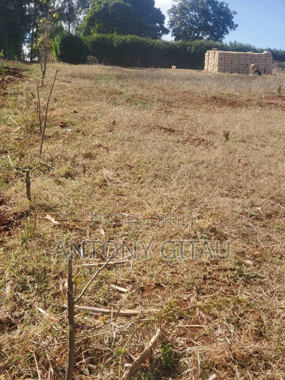 1/8 Plot at Mai Ahii 2km to Kikuyu Town