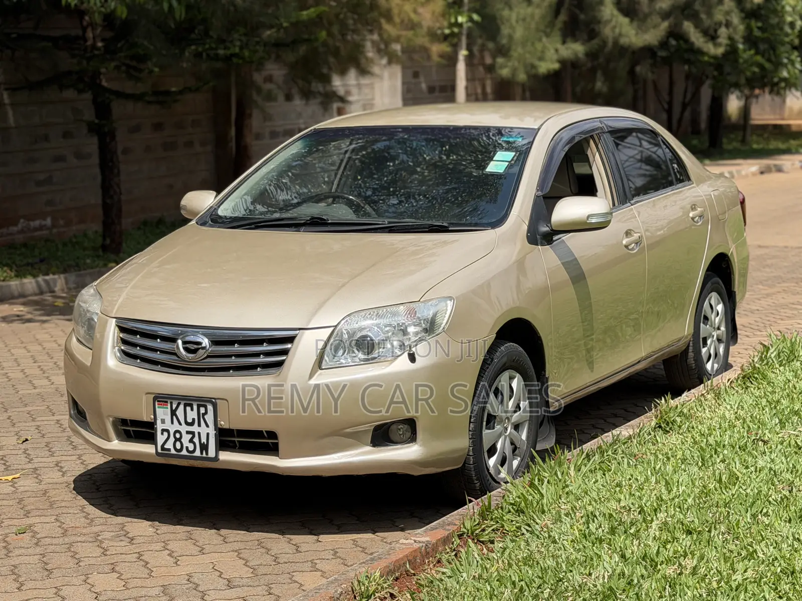 Toyota Axio 2011 Gold