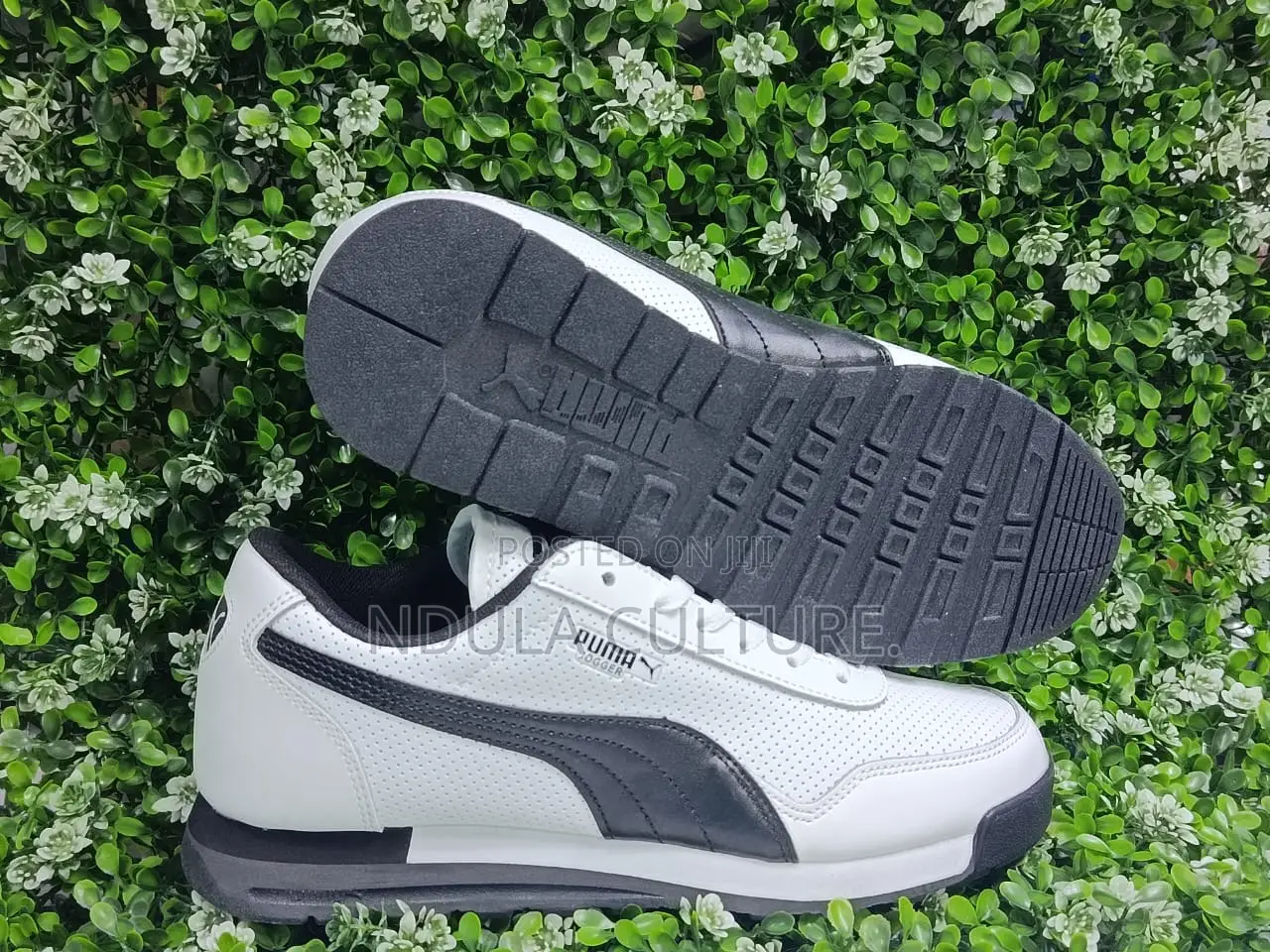 Puma Jogger